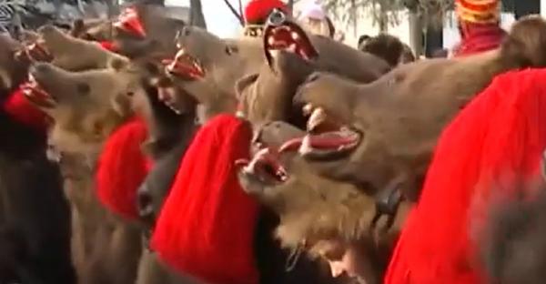 Jocul Urșilor de la Comănești, o tradiţie seculară. Se spune că alungă spiritele rele, iar cine îi primeşte în gospodărie va avea un an prosper