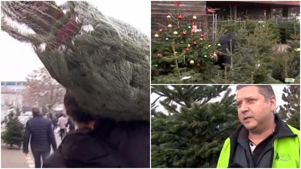 Românii au lăsat bradul de Crăciun ultimul pe lista de cumpărături, în speranţa că pot obţine un preţ mai bun: "Doar nu sunt nebun să dau 200 de lei pe un brad"