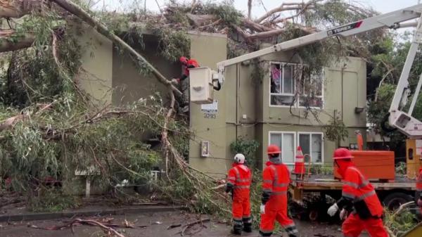 California, în stare de urgenţă din cauza inundaţiilor. Doi oameni au murit după ce un copac s-a prăbuşit peste casa lor