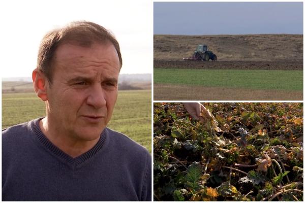 O nouă lovitură pentru fermieri: imaginile din câmp i-au îngrozit. Efectele duc la scumpiri la raft