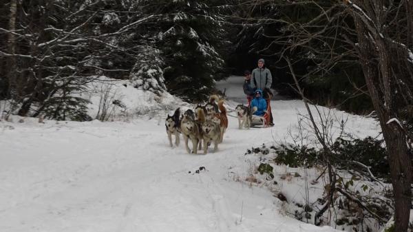 "Săracii vin şi pleacă dezamăgiţi". Turiştii, păcăliţi de fulgii de nea căzuţi dimineaţă: ninsoarea s-a transformat în lapoviţă