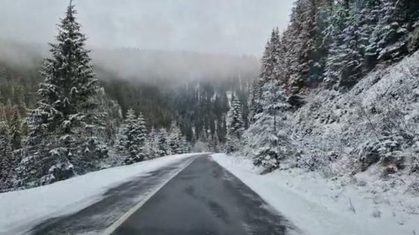 Meteo: Coduri galben și portocaliu de ninsori și ploi, emise de ANM. În zonele joase va ploua cât pentru întreaga lună