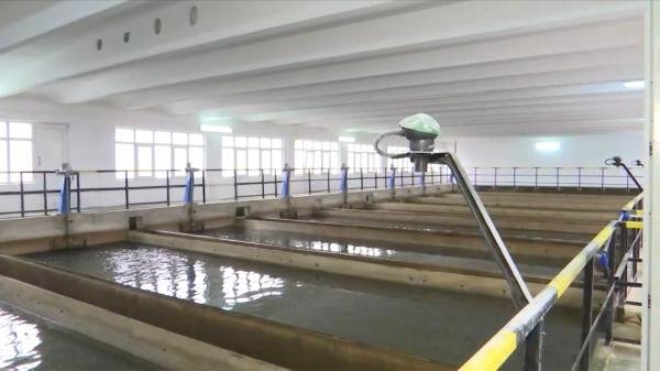"Evitați consumul de apă brută". Anunțul autorităților din Brăila, după ce au descoperit o bacterie periculoasă