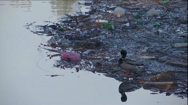 "PET-uri de bere. Of, urşii ăştia, câtă bere beau!". Lacul de acumulare Gilău, acoperit de tone de gunoaie