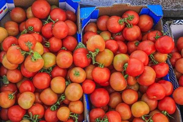 Producătorii autohtoni de roșii se chinuie să țină pasul cu turcii, chiar și cu programul Tomata. Subvenţia nu a mai fost majorată de 6 ani