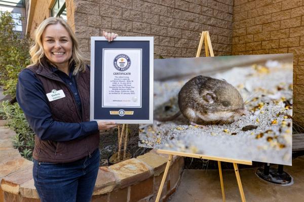 Cel mai bătrân şoarece din lume a intrat în Cartea Recordurilor. Pat trăieşte în California şi cântăreşte "cât 3 bănuţi"