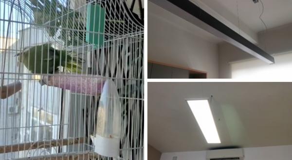 "Vai de capul meu". Reacţiile românilor după al doilea cutremur puternic în zona Olteniei