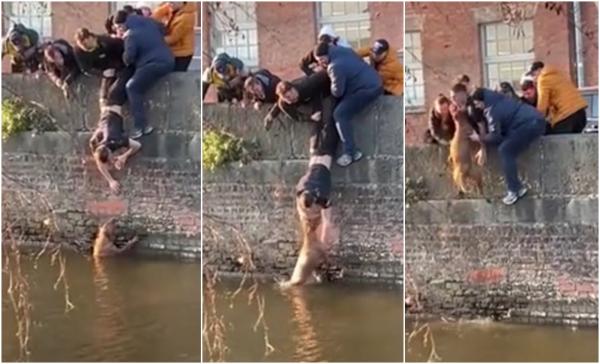 Căţel salvat la limită de trecătorii cu inimă mare. Şapte tineri au făcut o funie umană pentru a-l scoate dintr-un canal, în Anglia