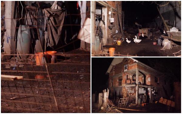 "Uite, acolo, e mort în curte!" Bărbat din Satu Mare ucis în propria gospodărie. Un tânăr de 25 de ani este principalul suspect