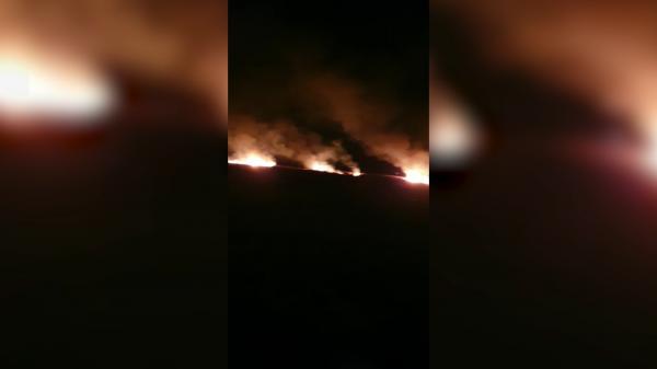 Incendiu puternic în Vaslui: Zeci de hectare de stuf, făcute scrum. Fumul negru s-a văzut de la zeci de metri distanţă