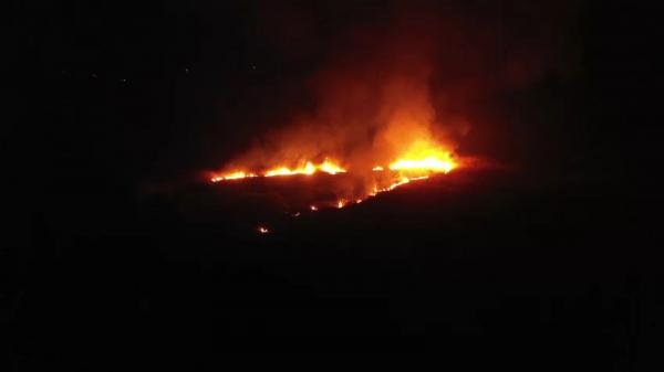 Incendiu de vegetaţie în Constanţa. Vântul puternic le-a dat bătăi de cap pompierilor