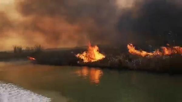 Delta Dunării a fost cuprinsă de flăcări, după ce locuitorii au dat foc la stuf. Sute de hectare s-au făcut scrum