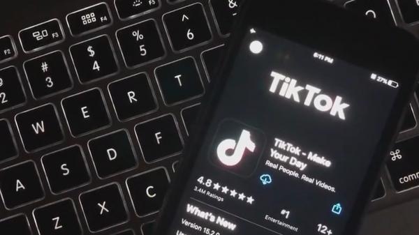 Românii care lucrează la stat ar putea fi obligaţi să renunţe la TikTok. Guvernul verifică dacă aplicaţia e o ameninţare la adresa securităţii naţionale