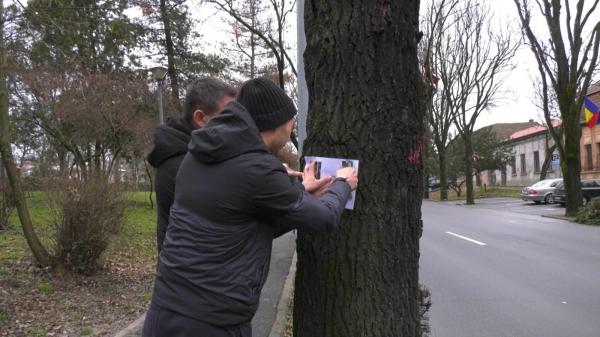 Avertismentul lipit pe mai mulţi copaci din Oradea, pentru a evita o tragedie. "O idee foarte bună"