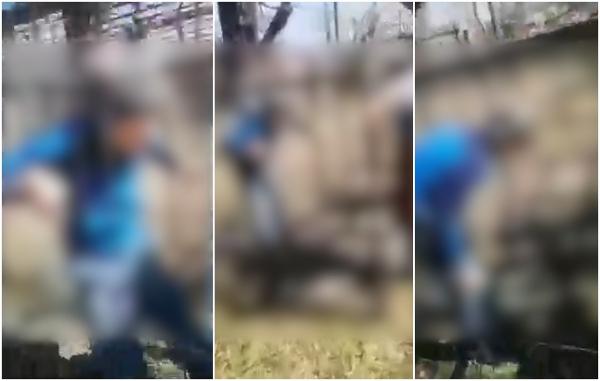 "Câine rău!" Trei adolescenţi, cercetaţi penal, după ce au închis un băiat de 12 ani într-o cuşcă, l-au umilit şi lovit cu beţe, la o şcoală din Bacău