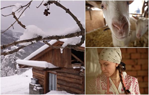Momentul în care Alexandra a decis să revină în România din Anglia, unde lucra ca fermier. "Se zice chemarea pământului"