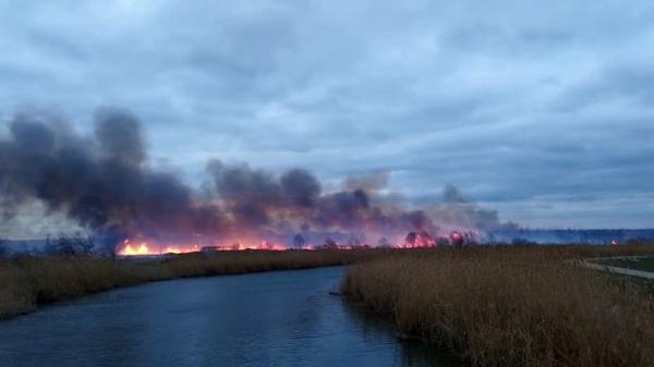 12 hectare au fost pârjolite de flăcări, după ce vântul puternic a întețit un incendiu de vegetație, lângă Galaţi