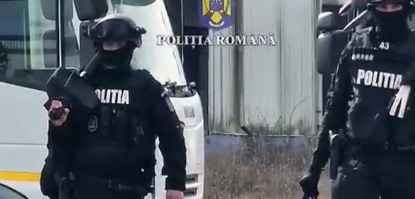 33 de cai, salvaţi de poliţişti dintr-un abator din Braşov. Animalele urmau să fie sacrificate, iar carnea exportată în Italia
