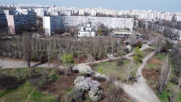 Ca după "bombardament", pe terenul retrocedat din parcul IOR. Sute de arbori au fost tăiaţi ilegal: "Un dezastru total"