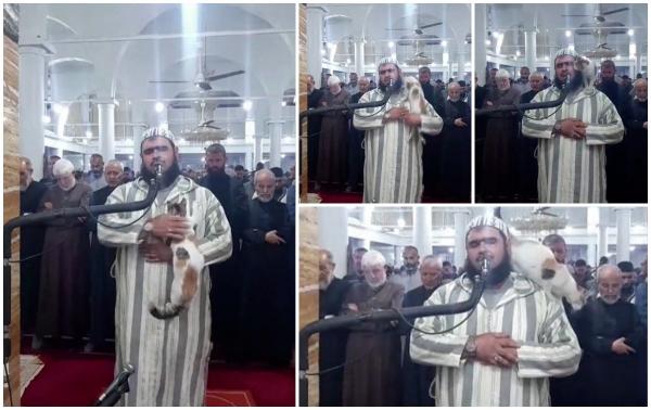 O pisică a furat tot spectacolul în timpul unei rugăciuni de Ramadan. S-a căţărat pe imam chiar în momentul transmisiunii în direct