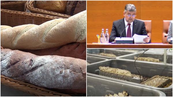 Vin primele produse cu făină de insecte în România, dar politicienii le-au pus gând rău. "Fără greieri, îi lăsăm să cânte"