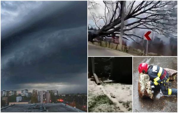 Prăpăd în mai multe zone din țară, după codul de vreme extremă. Vijelia a scos din rădăcini un copac înalt de zeci de metri şi l-a prăbuşit peste o şosea, lângă Petroşani