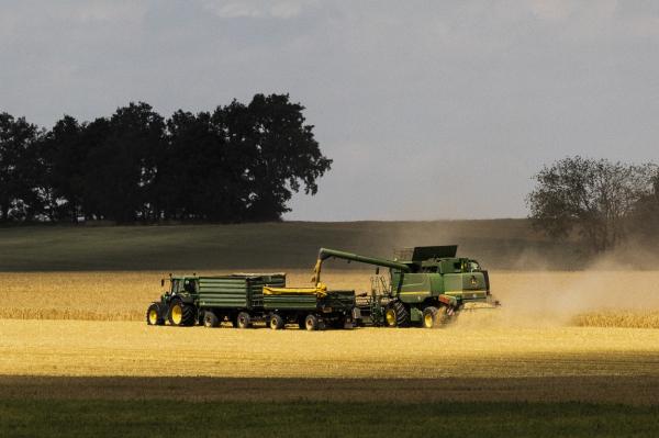 România ar putea reintroduce taxele pe cerealele ucrainene. Țările din estul Europei iau măsuri pentru a controla exporturile din Ucraina