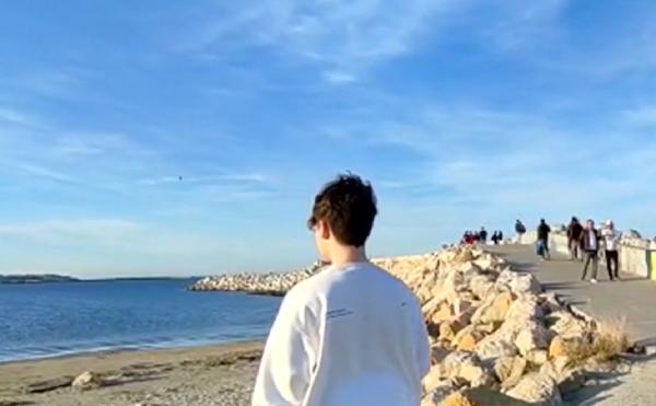 Delfini prietenoşi, aproape de ţărm la Constanţa, spre deliciul turiştilor ieşiţi la o plimbare pe plajă