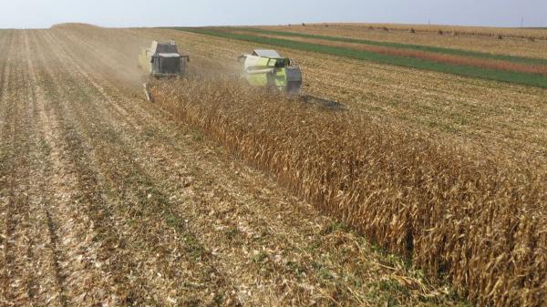 Miniştrii Agriculturii din Europa, întâlnire decisivă privind importurile de cereale din Ucraina. Orice zi de întârziere înseamnă noi pierderi pentru fermierii români