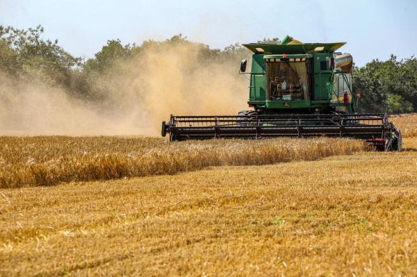 Kievul protestează vehement împotriva interzicerii exporturilor sale de cereale în cinci țări UE, printre care și România: Decizia este "inacceptabilă"