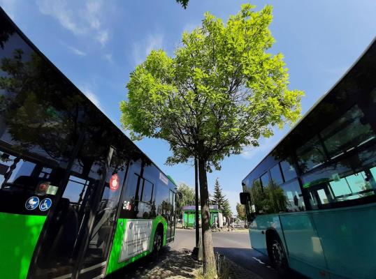 Ce este "oraşul de 20 minute". Proiectul care încurajează mersul cu autobuzul şi lăsatul maşinii acasă pentru a combate poluarea localităţilor