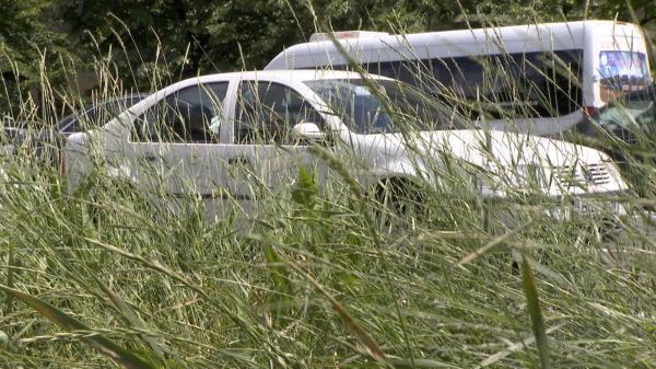 Marile oraşe ale României s-au transformat în veritabile jungle urbane. Angajaţii primăriilor dau vina pe ploile din ultima perioadă