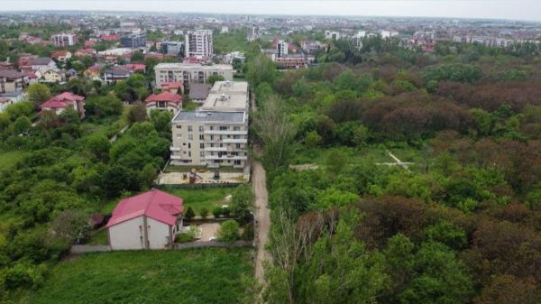 Coşmarul rezidenţial dintr-o capitală europeană. Proiectul de lărgire a străzii Valea Largă, blocat între neînţelegeri privind copacii