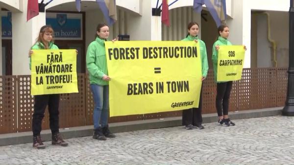 Protest împotriva urşilor, organizat în Covasna. Oamenii cer măsuri noi şi protecţie mai mare din partea autorităţilor