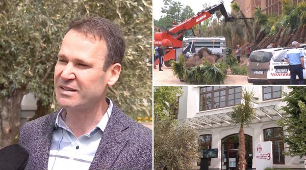 Ce smulge Nicuşor Dan, Robert Negoiţă replantează a doua zi. Primarul Sectorului 3 are planuri mari: "Vă invit să gustaţi fructe de kumquat"