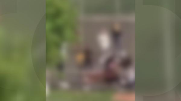Au transformat curtea şcolii în ring de box. Două eleve din Suceava s-au lovit cu pumnii şi picioarele până s-au prăbuşit la pământ