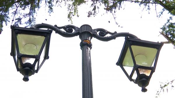 Un parc din Timişoara, reabilitat cu peste 1 milion de euro, se poate "mândri" cu stâlpi de iluminat din plastic. Erau trecuţi ca fiind din oţel
