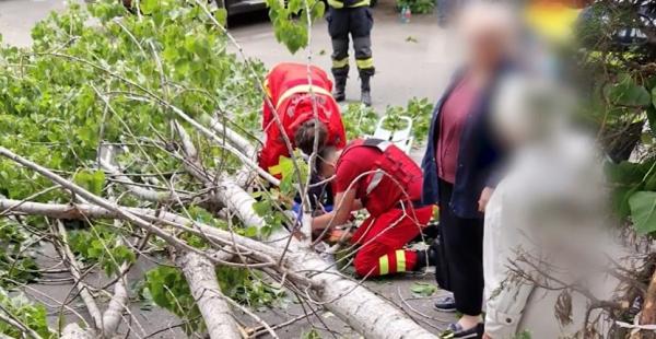 Prăpăd în Bucureşti, după o vijelie de câteva minute. Un bărbat a fost la un pas de moarte, după ce un copac s-a rupt şi l-a lovit în cap