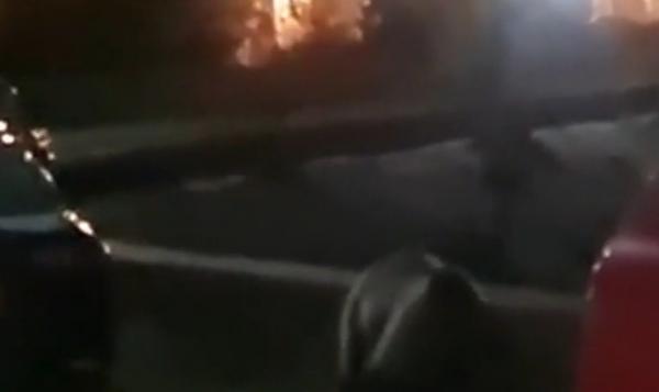 "Pleacă, mă, de aici!" Un bărbat din Argeş, atacat de urs pe o stradă din Poienari, sub privirile îngrozite ale martorilor