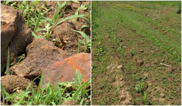 Castru roman distrus de pluguri, într-o localitate din Gorj. Primăria spune că nu are soluţii pentru această situaţie