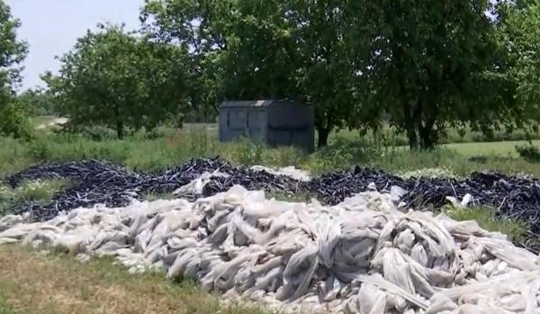 Culturi de plastic. Tone de folii rămân în fiecare primăvară îngropate în pământ: oamenii nu au unde să le recicleze. Reacţia ministrului Petre Daea
