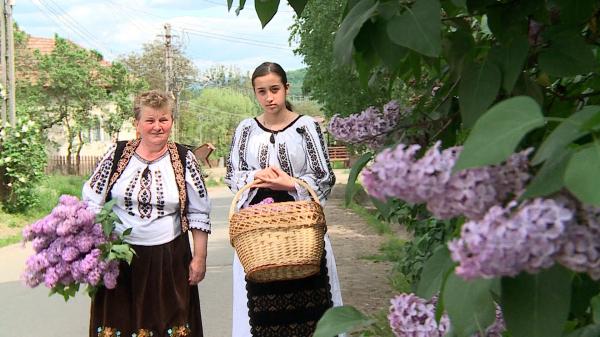 Ce afecțiuni poate trata floarea de liliac. Proprietăţi miraculoase pentru sănătate