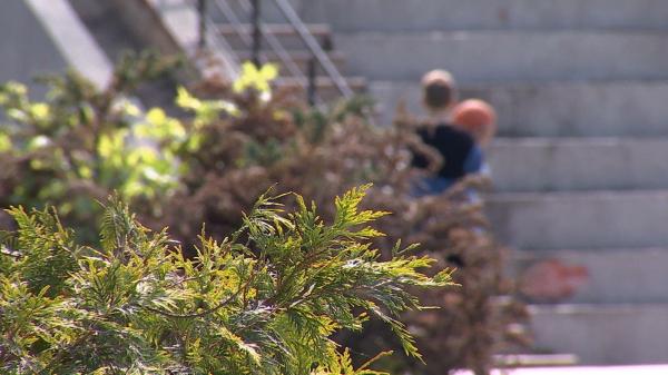 Ce se poate ascunde în spatele energiei debordante a unui copil? Semnele care ar trebui să îi îngrijoreze pe părinți