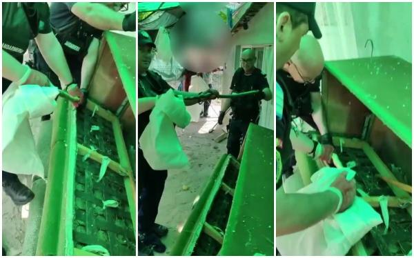 Surpriză nedorită pentru o familie din Tulcea: Oamenii au alertat 112, după ce au găsit un şarpe care "se odihnea" în canapeaua de pe terasa casei