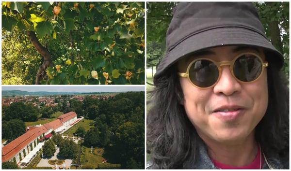 Arborele spectaculos în care cresc lalele, adus în "Edenul din Transilvania" acum 250 de ani, tocmai din SUA. Reacţia unui turist străin