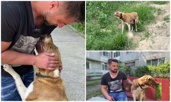 Legătura dincolo de cuvinte dintre Petrişor şi căţeluşa Bella, pe care a găsit-o jelindu-şi puiul mort. "Nu te abandonez! Vin înapoi!"