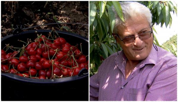 Adrian a pariat pe o afacere cu cireşe şi speră la un profit frumos. Va aduna fructe cât să umple 100 de vagoane de metrou. Cu cât se vinde un kilogram