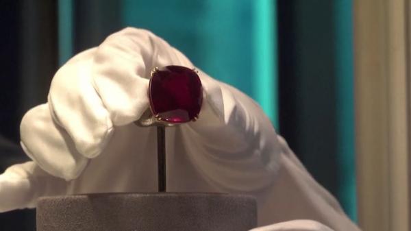 Cel mai mare rubin din lume se vinde pentru o sumă colosală. Piatra preţioasă are 55 de carate şi a fost descoperită abia anul trecut