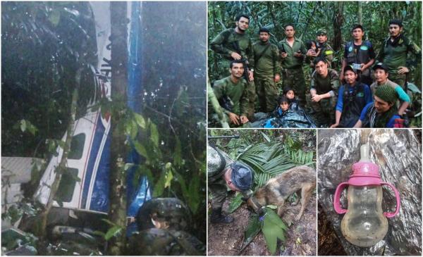 Lecţie de supravieţuire incredibilă: Cum au rezistat timp de 40 de zile cei 4 copii mici, între care un bebeluş, după ce avionul lor s-a prăbuşit în junglă