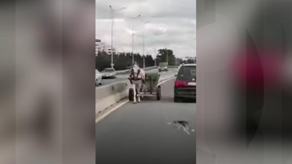 Cu căruța pe contrasens, pe Centura Oradea. Rupt de beat, căruțașul a fost oprit înainte să provoace o tragedie